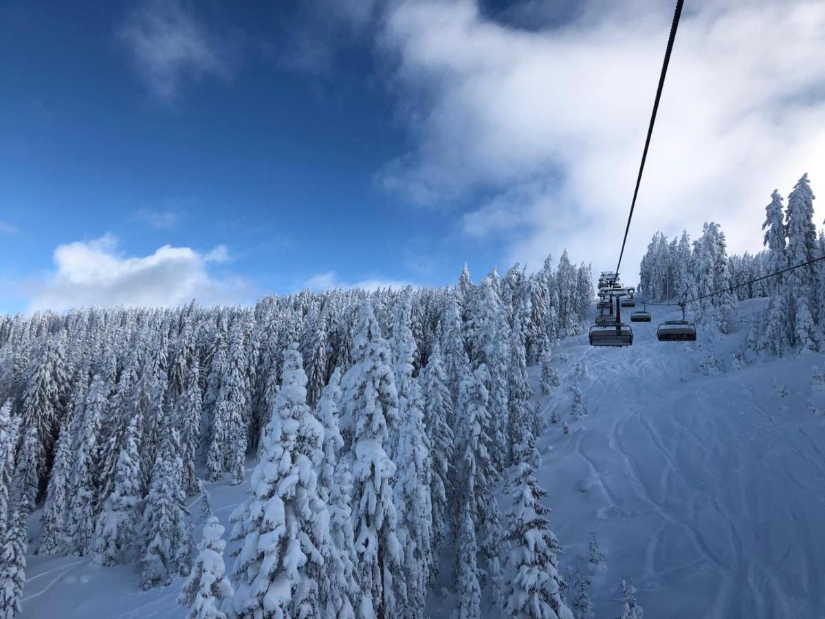 Apparthotel Restaurant Steiners Eben Im Pongau Kültér fotó